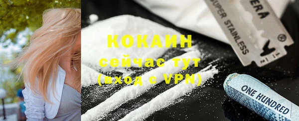 хмурый Дмитровск